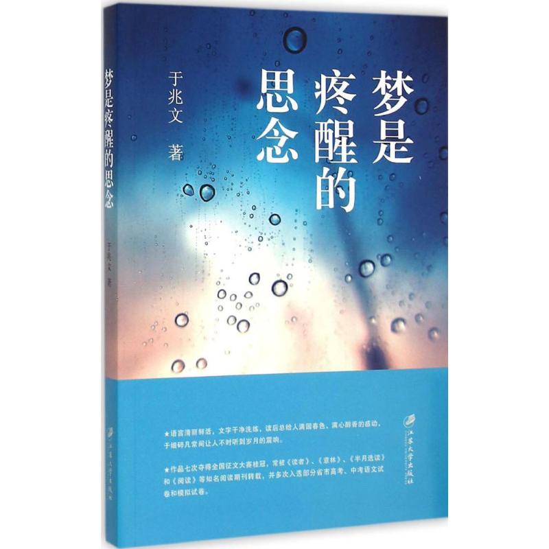 梦是疼醒的思念 于兆文  书籍