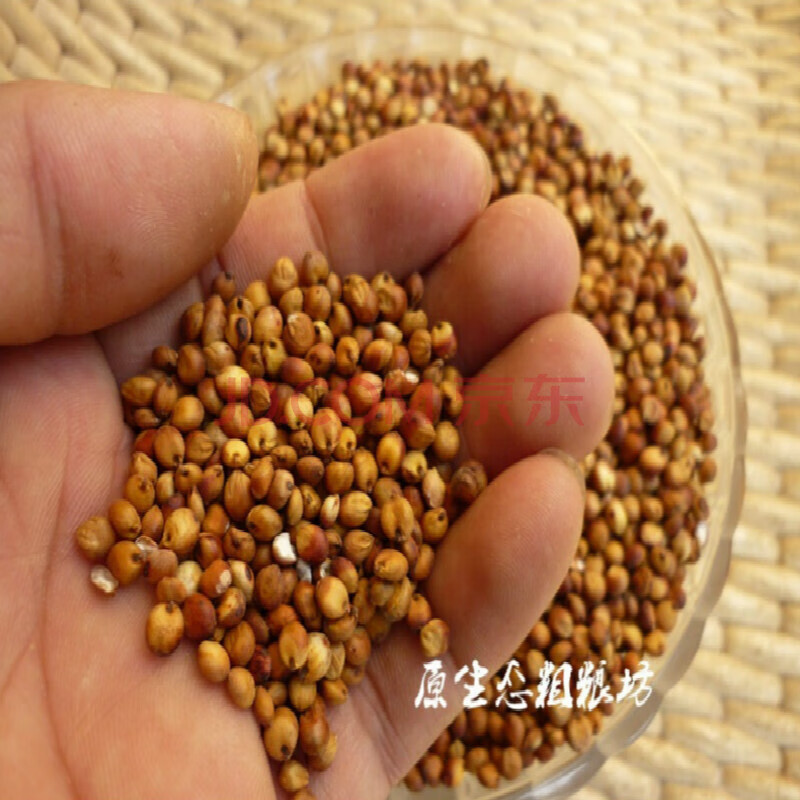 粮食酿酒用饲牧草 矮生抗旱高产高 黄土甜高梁种 进口甜高粱种子一斤
