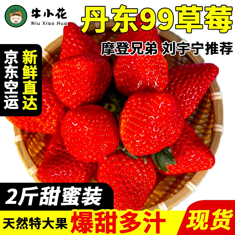 99草莓 红颜奶油大草莓 久久丹东草莓 产地直发 新鲜水果现摘现发 2斤甜蜜装（净重1.9斤）