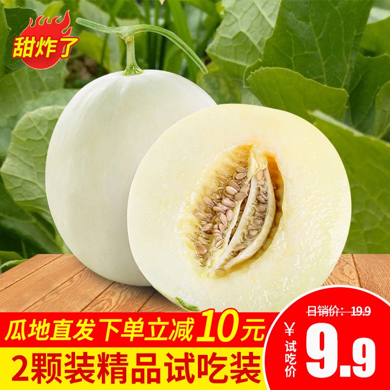 【新品抢先 头茬甜瓜】妙宜果味 陕西阎良新鲜甜瓜香瓜小籽瓜新鲜水果生鲜白皮小香瓜 2枚装精选（单瓜450g起）【优质】超甜