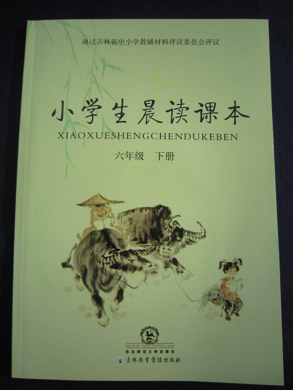 2020年春小学生晨读课本6/六年级下册附光盘全新正版现货
