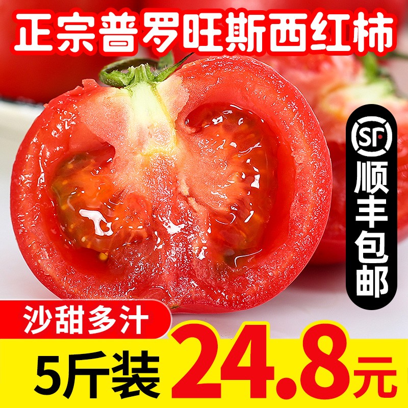 曙光 山东海阳普罗旺斯西红柿 自然熟沙瓤生吃西红柿带箱5斤装番茄水果 5斤装（净重4.5-5斤）