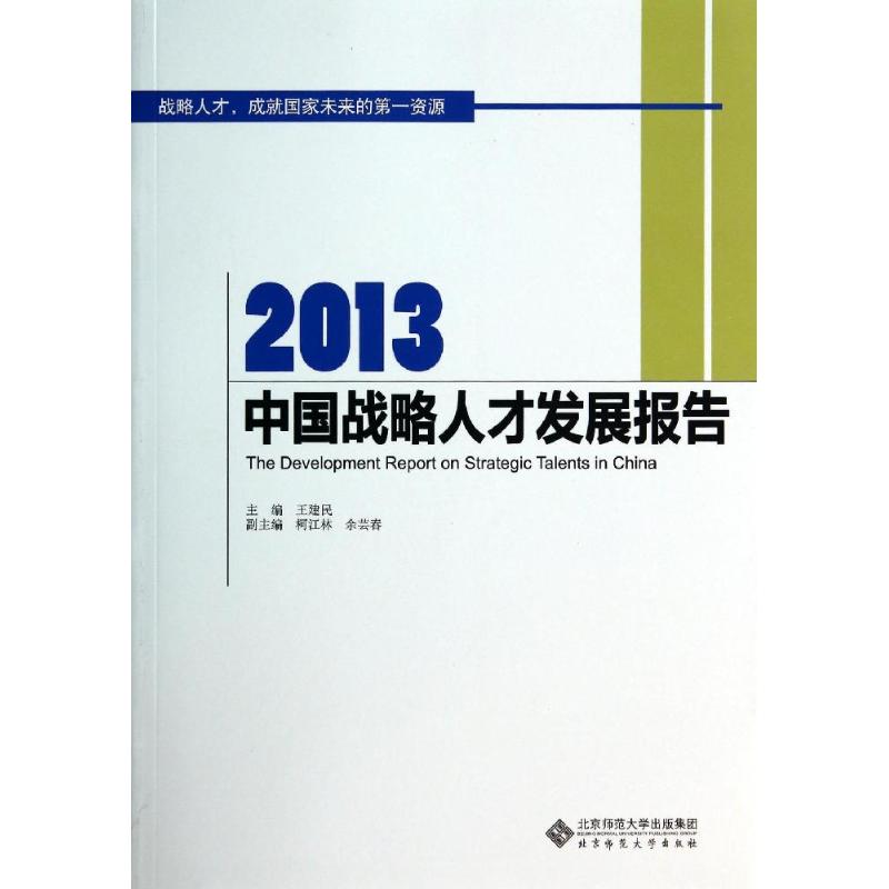 2013中国战略人才发展报告 王建民 书籍