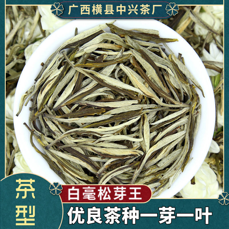 茉莉花茶浓香茉莉大白毫新茶叶广西松针凤尾针250克500克袋装 白毫
