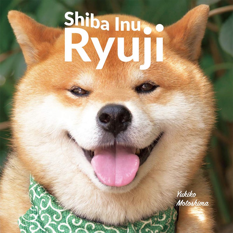 日文原版 shiba inu ryuji 柴犬隆二 日本网红柴犬隆二照片合集 摄影