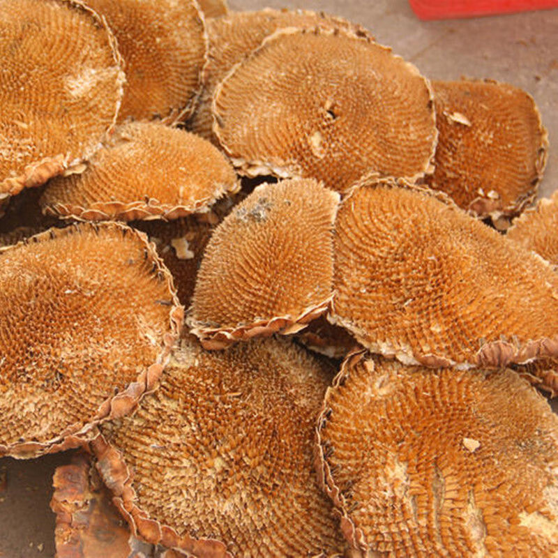 葵花葵花向日葵花盘头茬盐碱地整个向日葵中药材葵花盘粉内廷上用