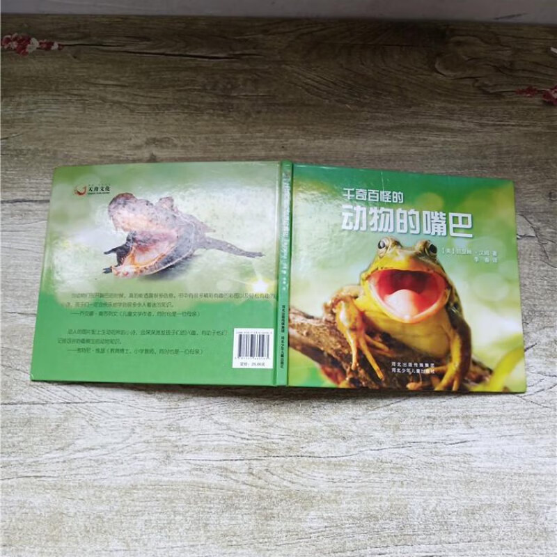 【绝版旧书】千奇百怪的动物的嘴巴【精装绘本】【书脊受损】【封面