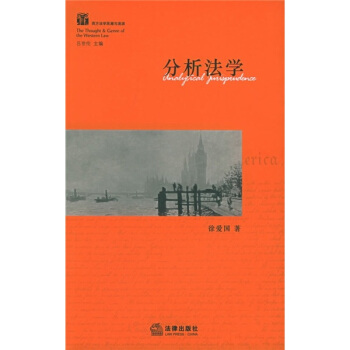 分析法学 徐爱国 著【正版书】