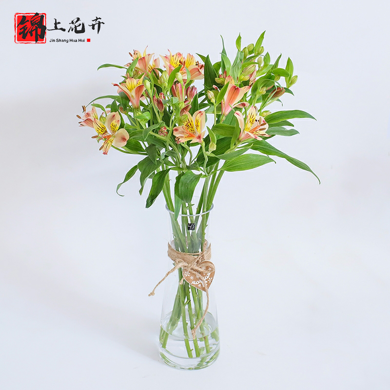 锦上花卉玫瑰花粉色长50CM左右云南昆明直发小雏菊百合花康乃馨花束家用插花水养植物瓶插 水仙百合十枝随机色