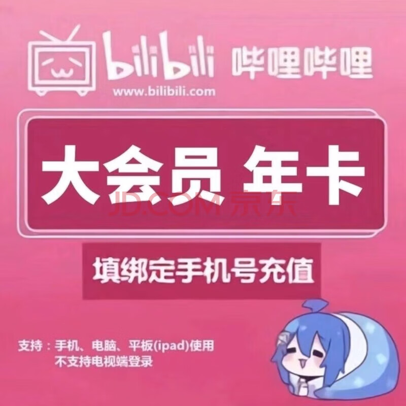 哔哩哔哩大会员12个月B站12个月bilibili年卡 哔哩哔哩年卡【不支持电视】