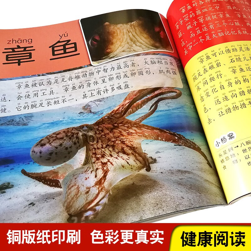 海洋动物大百科 彩图注音版科普读物 小眼睛看世界儿童科学启蒙认知百科全书暑假阅读暑假课外书课外暑假自主阅读暑期假期读物详情图