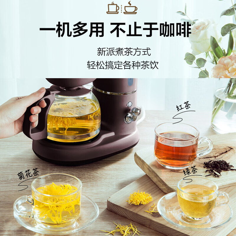 小浣熊小熊家用滴漏式 全自动迷你小型泡茶 煮茶两用咖啡机 咖啡色