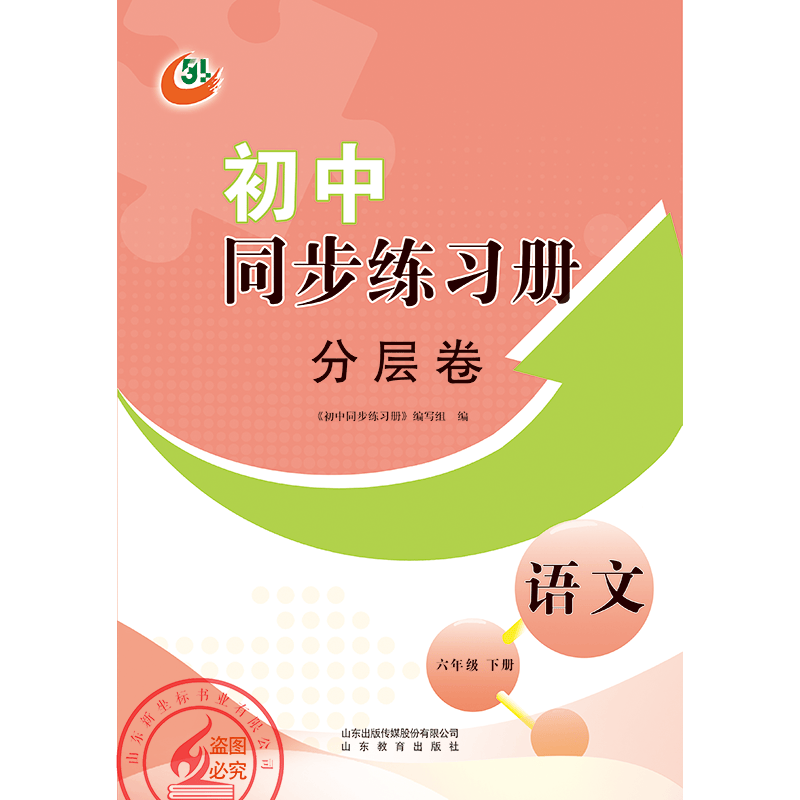 2021版初中五四制语文《同步练习册·分层检测卷》山东教育出版社 语文人教版六年级下五四制