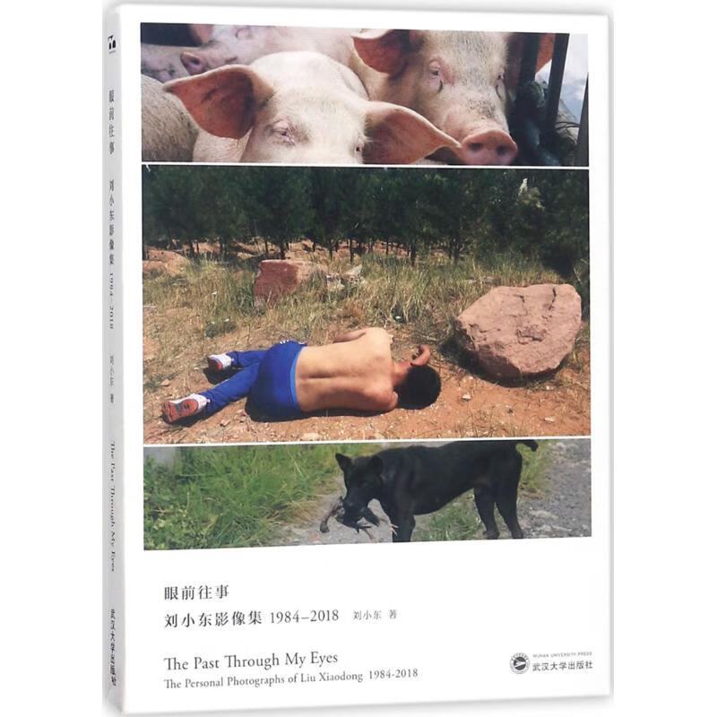 眼前往事 刘小东 书籍