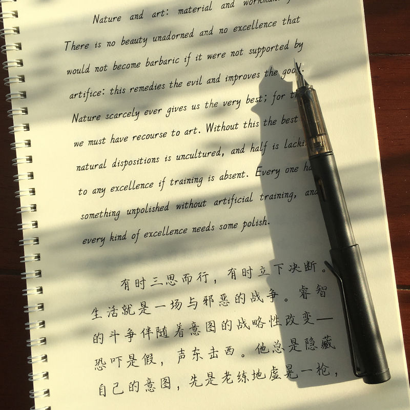 逸云turbowmy手写字帖女生字体漂亮练字大学生字帖行楷行书成人 衡水
