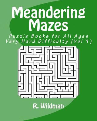预订 meandering mazes: puzzle books for all ages - very hard