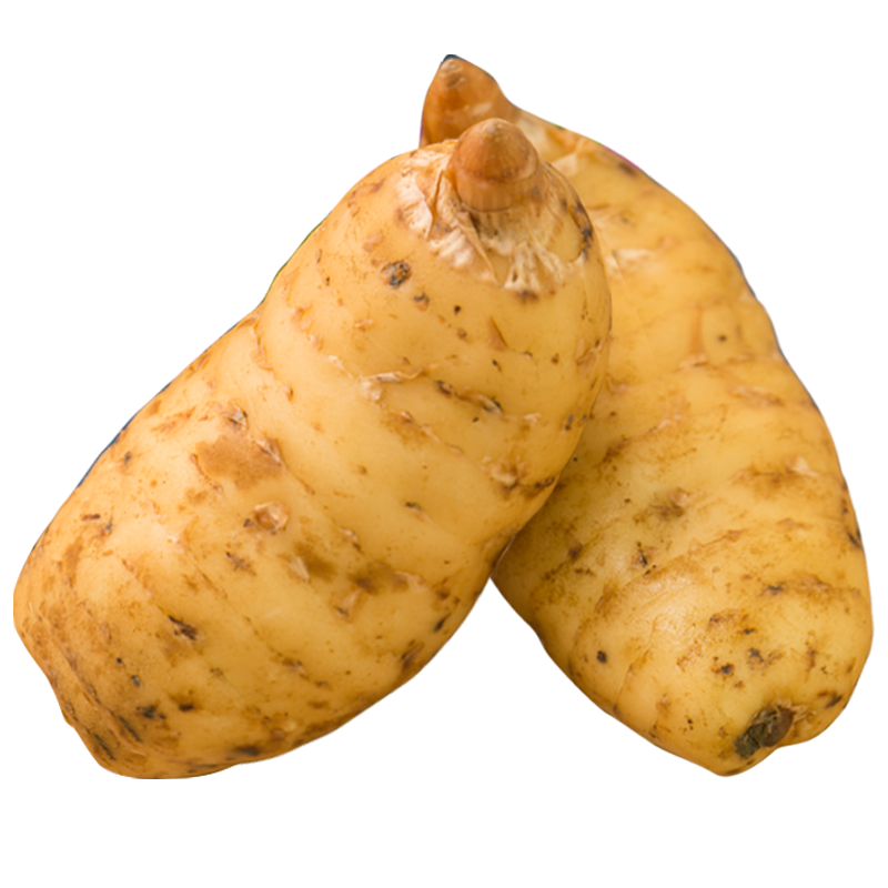 百年云松云南新鲜天麻2025 小草坝天麻 只挑大个天麻 营养滋补秋冬进补  新鲜天麻8-10个大果 1000g