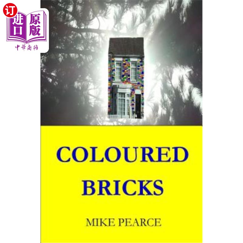 海外直订coloured bricks 彩色砖