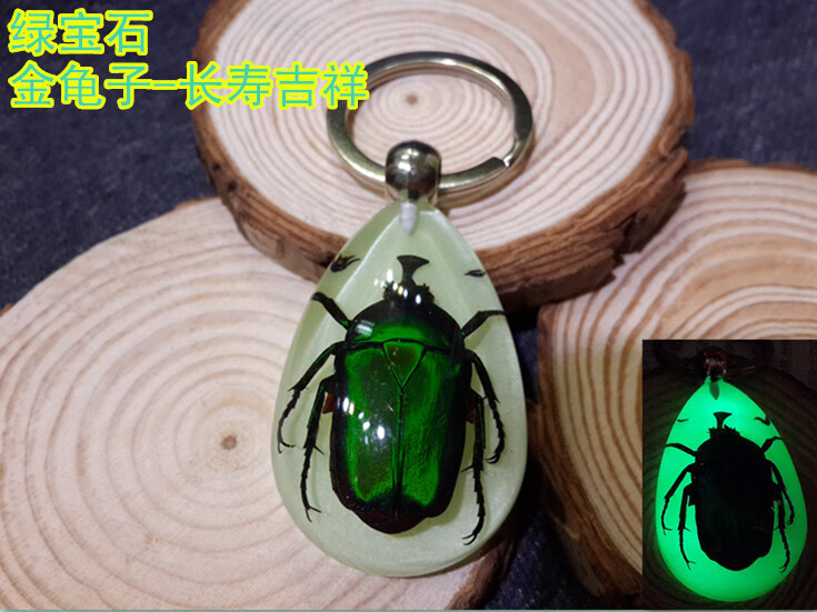 标本汽车钥匙扣圈韩版可爱卡通挂件男女士款礼物 绿宝石金龟子-夜光