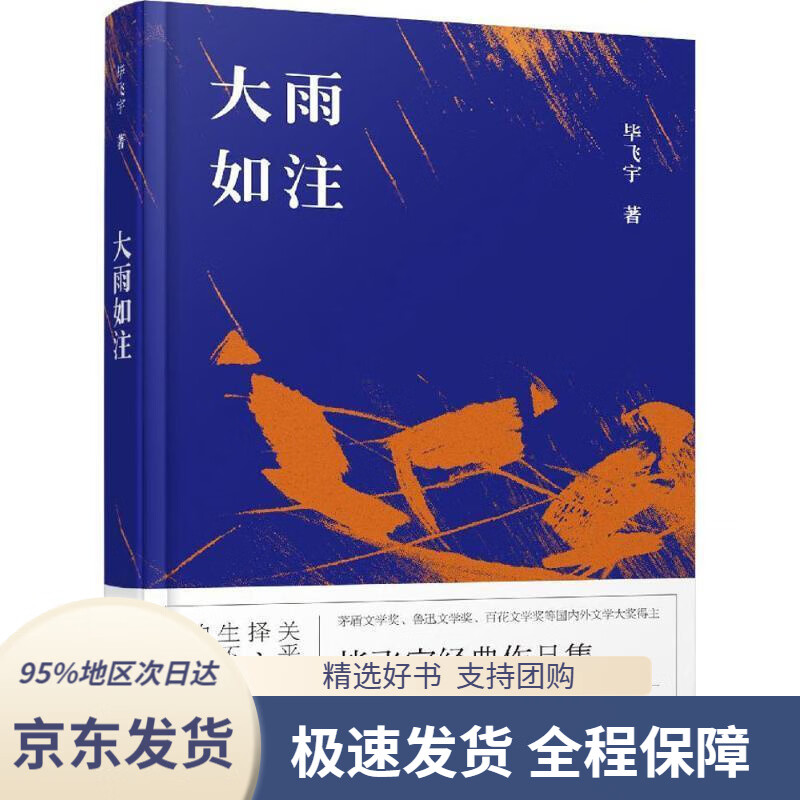 【正版图书】大雨如注