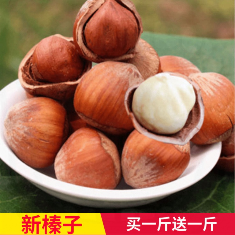 坚果零食炒货干果开口大榛子东北大果榛子 开口大榛子 买一斤送一斤