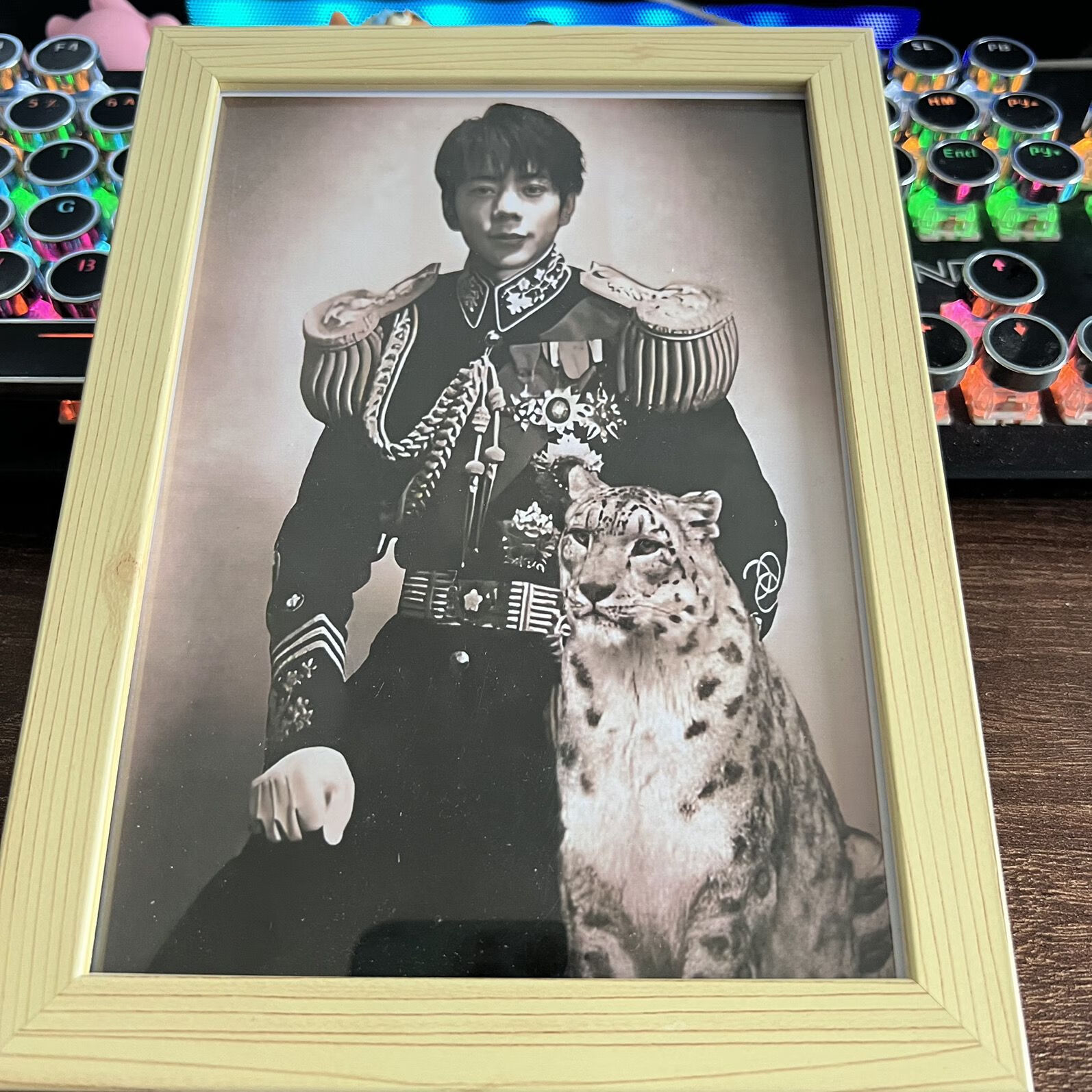 霏皖丁真将军挂画 丁真将军肖像画搞笑挂画中伟人名人装饰画芝士雪 丁