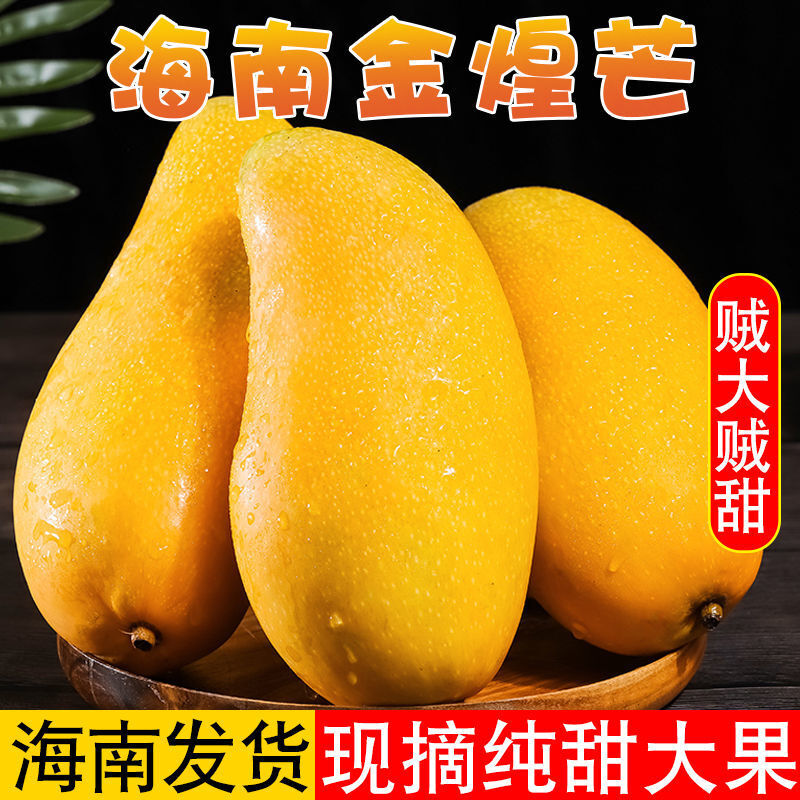 海南金煌芒果新鲜10斤特大水仙芒大忙果水果整箱大青皮金皇芒 大果 10