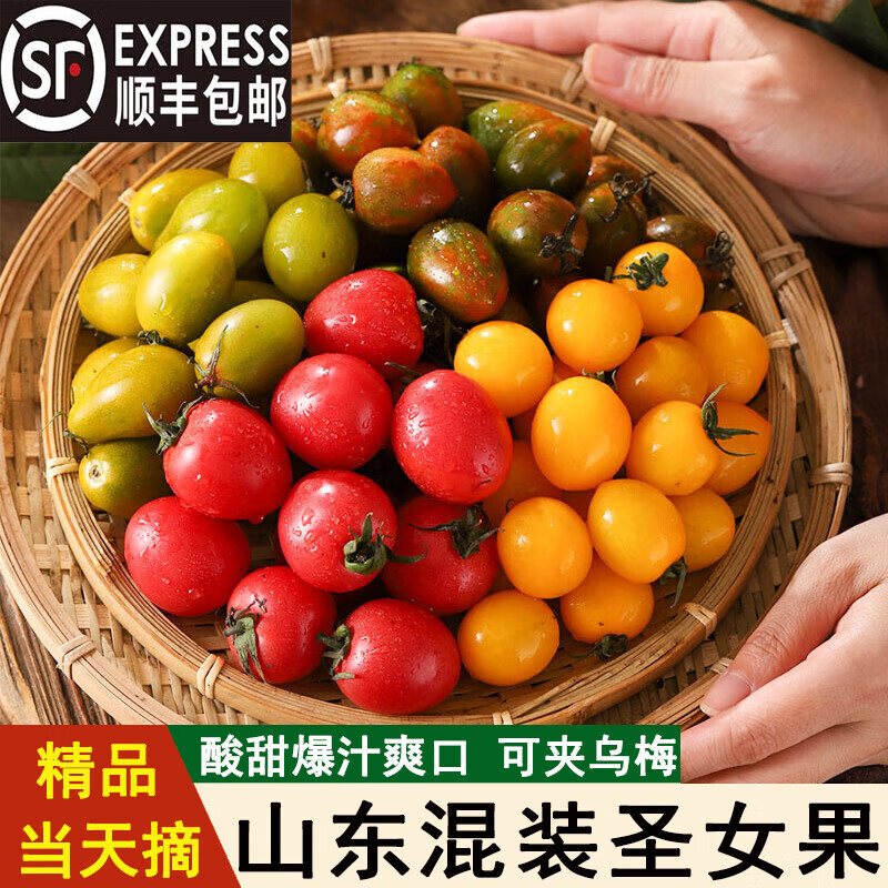 鑫果滋【顺丰】四色混装圣女果小番茄孕妇水果多彩红黄绿色迷彩 3斤