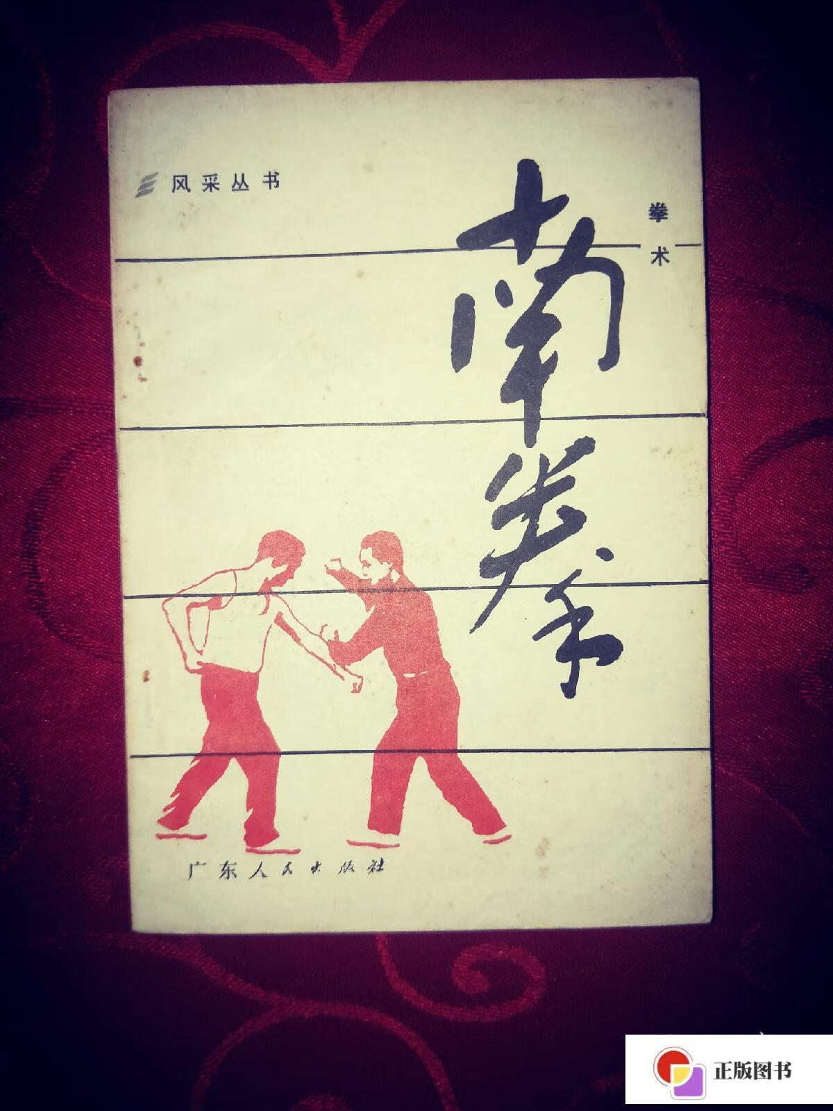 【二手9成新】南拳拳术 武术基本功攻防对练绝招 曾昭胜传授 广东体育