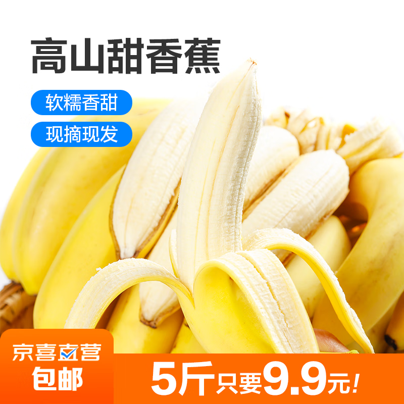 仙绘鲜  国产高山甜糯香蕉 当季新鲜水果芭蕉薄皮正宗整箱青果发货 2.5kg 带箱【普通装】