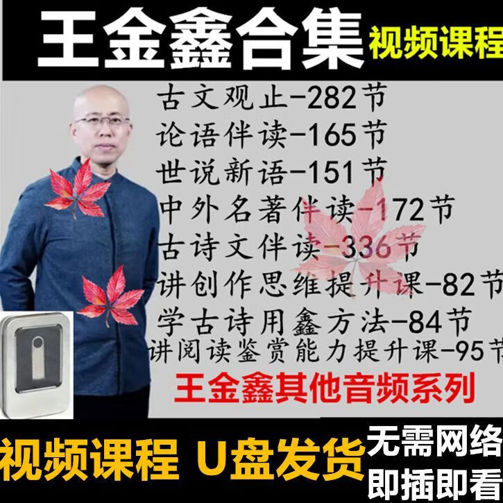 合集u盘精读古文观止古诗文论语视频四大名著大语文音频课 王金鑫全集