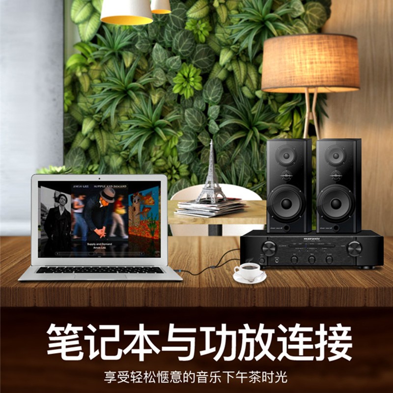 威迅（VENTION）3.5mm转双6.5 一分二立体声音频线 电脑调音台连接线 6.35mm左右声道转换线 2米 黑色BACBH