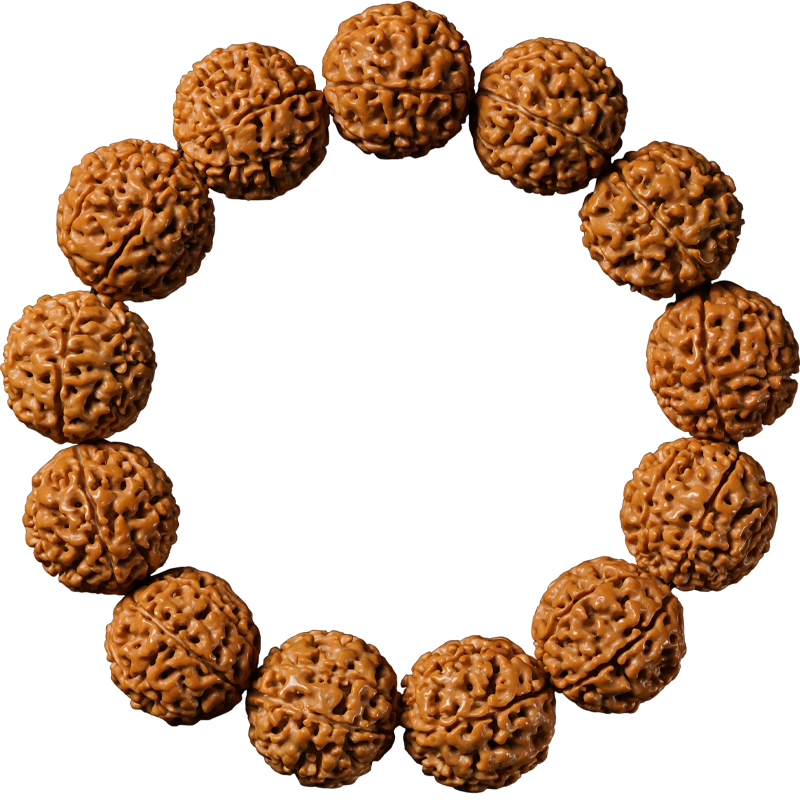 ڲԵСƷִƷԭ߰˰ʿ 622-24*11+2 77Ԫ