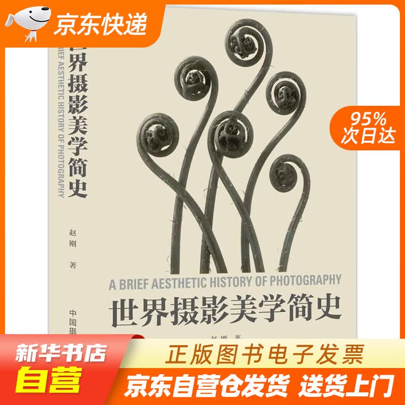 【新华书店正版】世界摄影美学简史 赵刚 编著 中国摄影出版社 9787517907084 正版图书籍