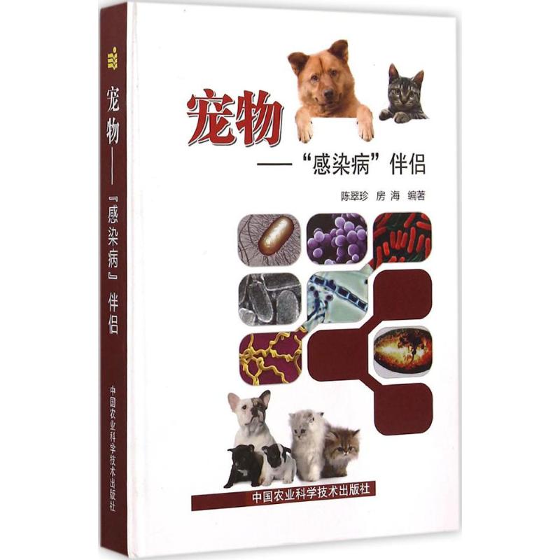 宠物