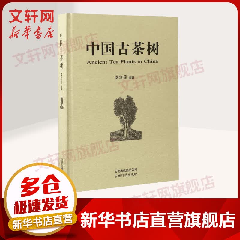 中国古茶树高性价比高么？