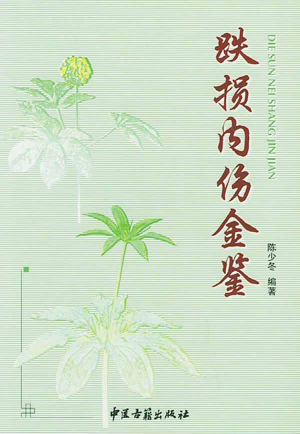 跌损内伤金鉴【正版图书】