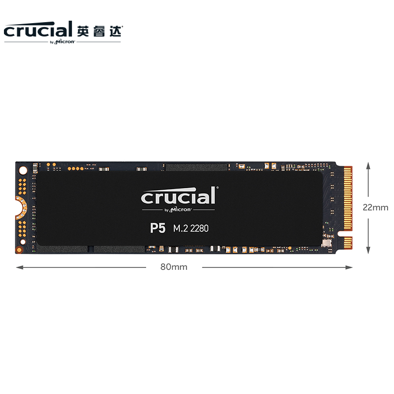 英睿达（Crucial）美光 1TB SSD固态硬盘 M.2接口(NVMe协议) P5系列 游戏高速性能 美光原厂颗粒