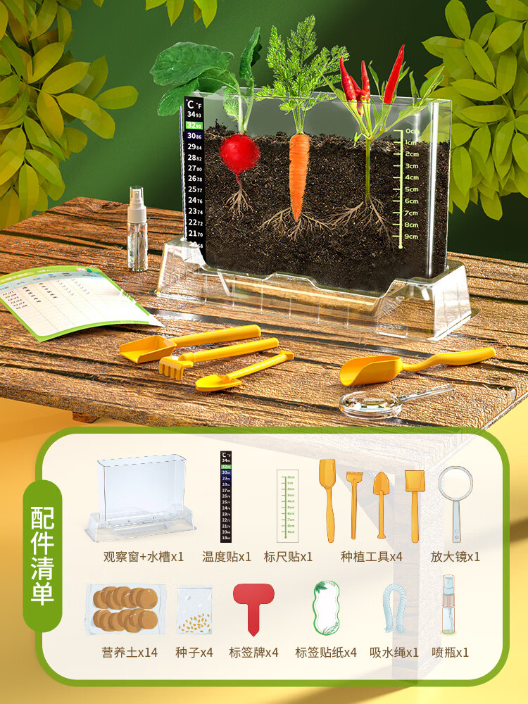 贝木惠(beimuhui)阳光房种植儿童科学小实验套装种菜种植物的玩具生长