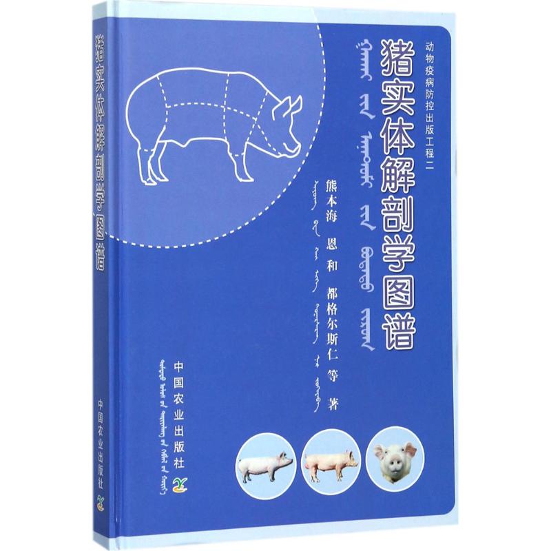 猪实体解剖学图谱