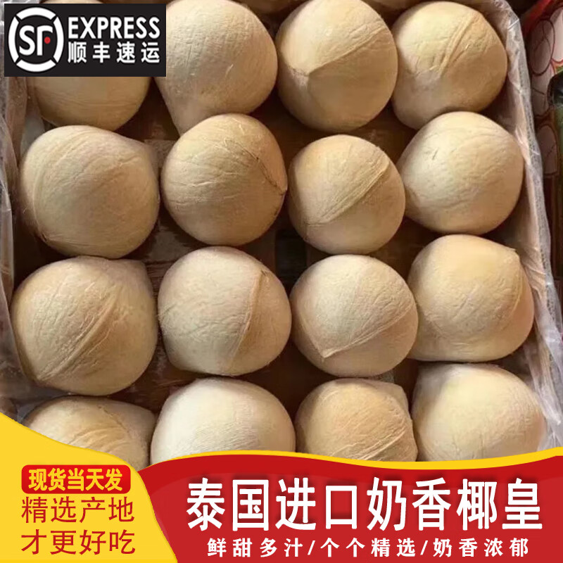 橙小士【顺丰快递】泰国进口牛奶椰皇新鲜水果椰子椰青孕妇水果年货整箱 8个奶香椰皇特大果 单果450g+