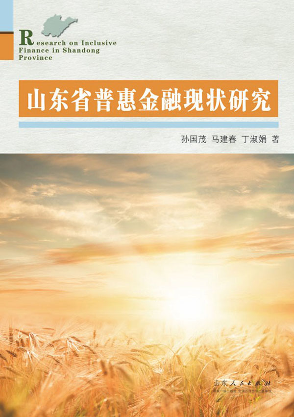 山东省普惠金融现状研究【正版图书】