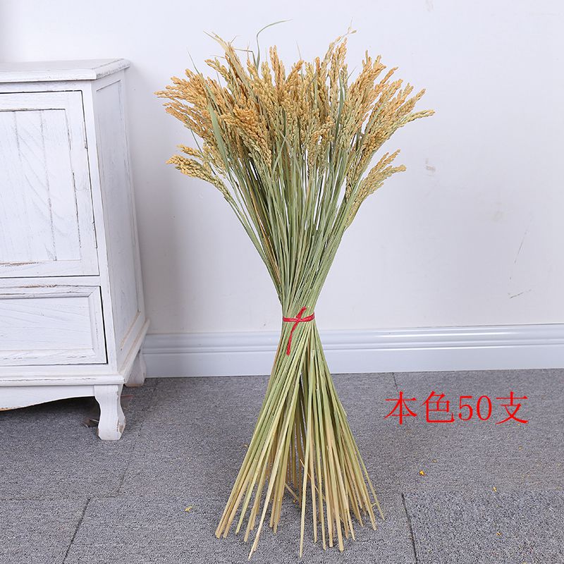 仿真水稻干稻穗稻谷麦穗干花稻穗拍摄摄影道具橱窗装修造景五谷丰登