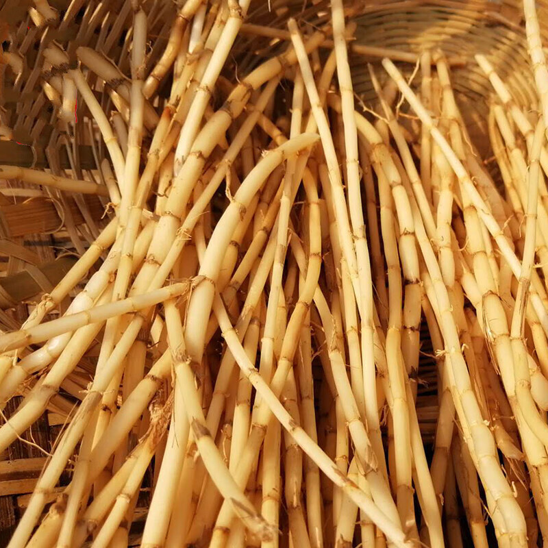 白茅根一斤新鲜白矛根干湿茅草根野生丝茅根鼻血凉茶食材中草药材·**