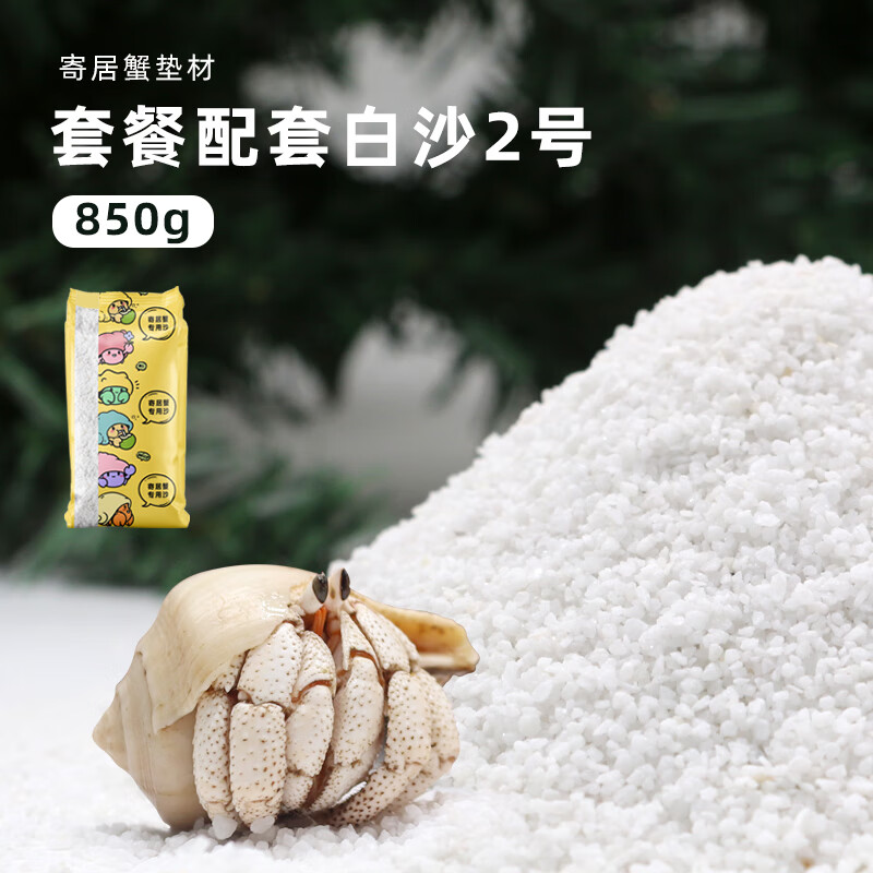逸樂寵寄居蟹專用沙天然墊材白沙珊瑚沙菲律賓沙子砂原生貝殼沙免洗 11_套餐配套白沙【2號】1袋