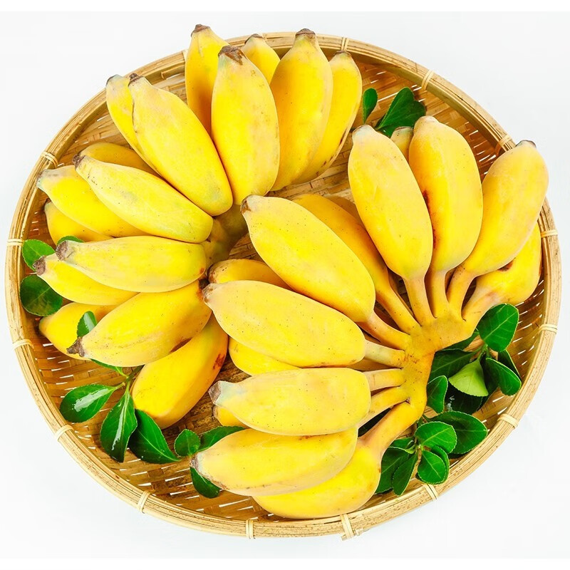 nanguoxiansheng 广西小米蕉 香蕉 西贡蕉 帝王蕉 生鲜水果 8.5-9斤
