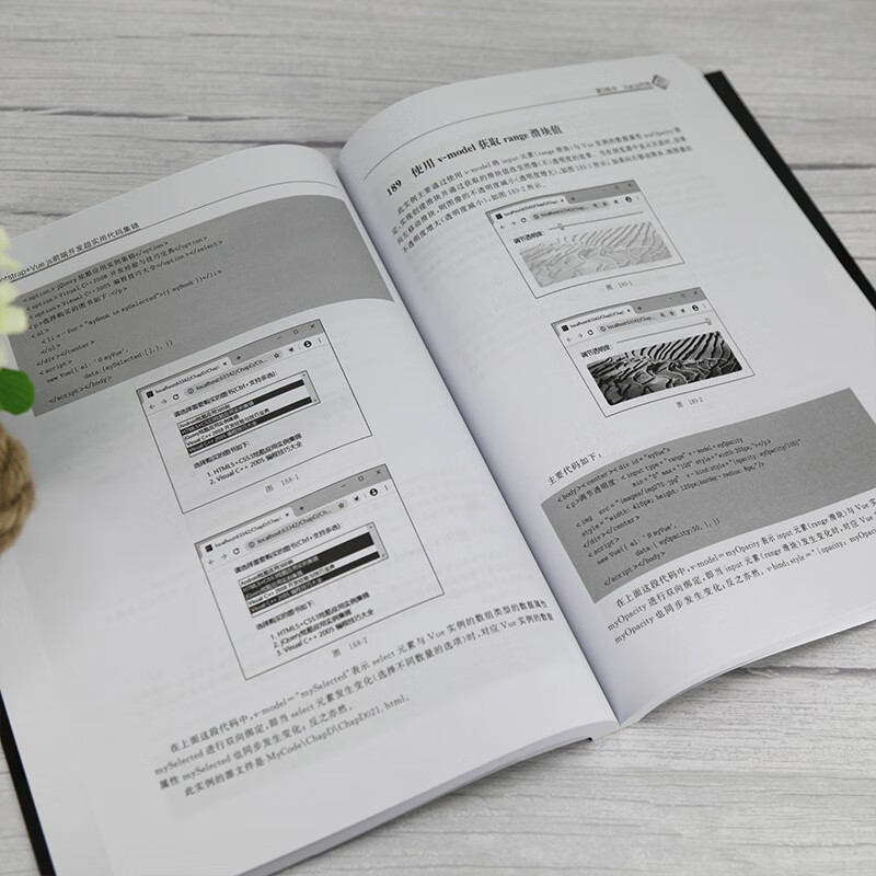 Bootstrap+Vue.js前端开发超实用代码集锦详情图