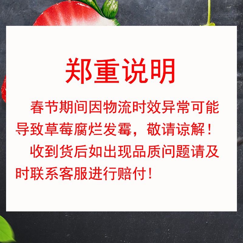 105852-【凉山特产馆】大凉山牛奶草莓新鲜水果现摘现发 空运直达 VS丹东草莓红颜 4盒中大果-详情图