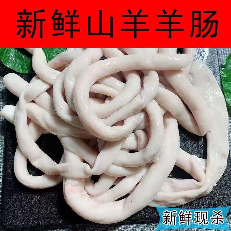 恺蒂鲜 羊肠新鲜现现取羊肥肠羊双肠羊小肠羊拐肠肥肠整套羊肠批发