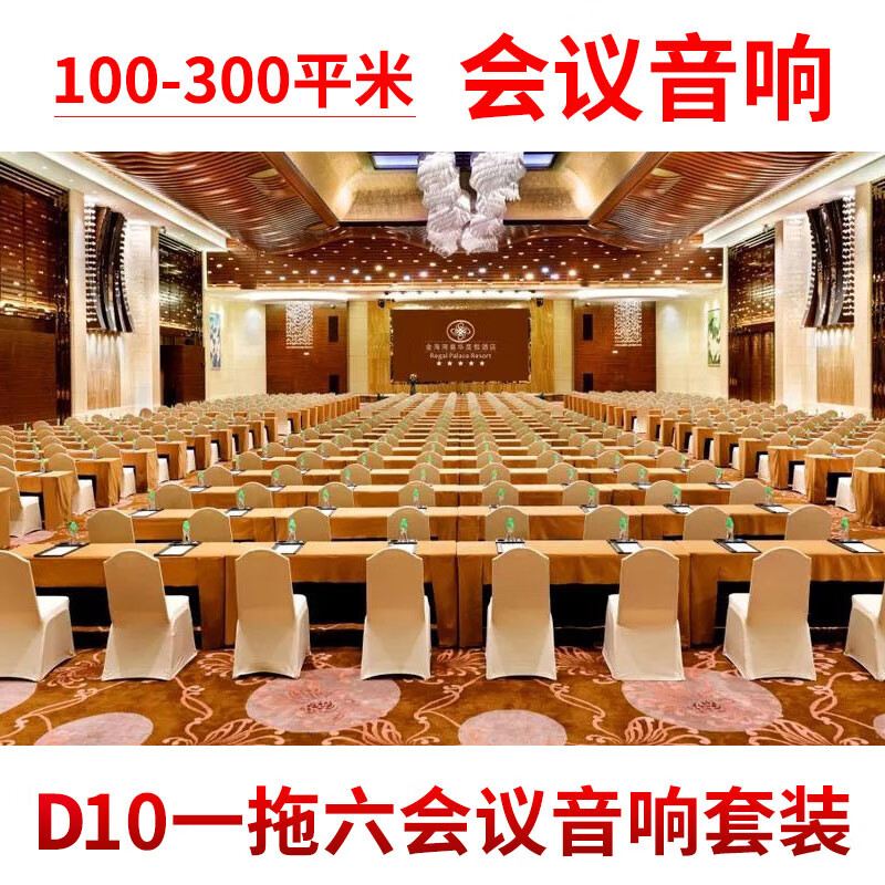 皇声音响（HUANG SHENG）皇声KingAudio/ D10一拖六100-300平方 专业会议音响系统升级套装 D10一拖六会议套装